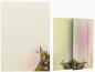 Preview: Motivpapier Tulpen im Sonnenlicht Briefpapier mit Motiv